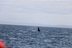 resIMG_20170710_125052_8233.JPG